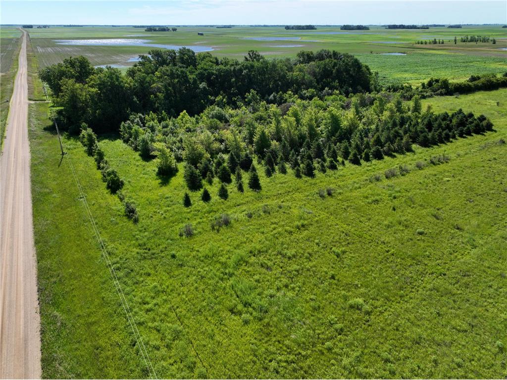 TBD 60TH Street East Chain Twp MN 56013 7070570 image3