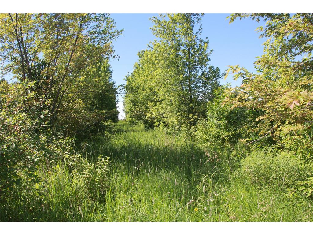 TBD 60TH Street East Chain Twp MN 56013 7070570 image5