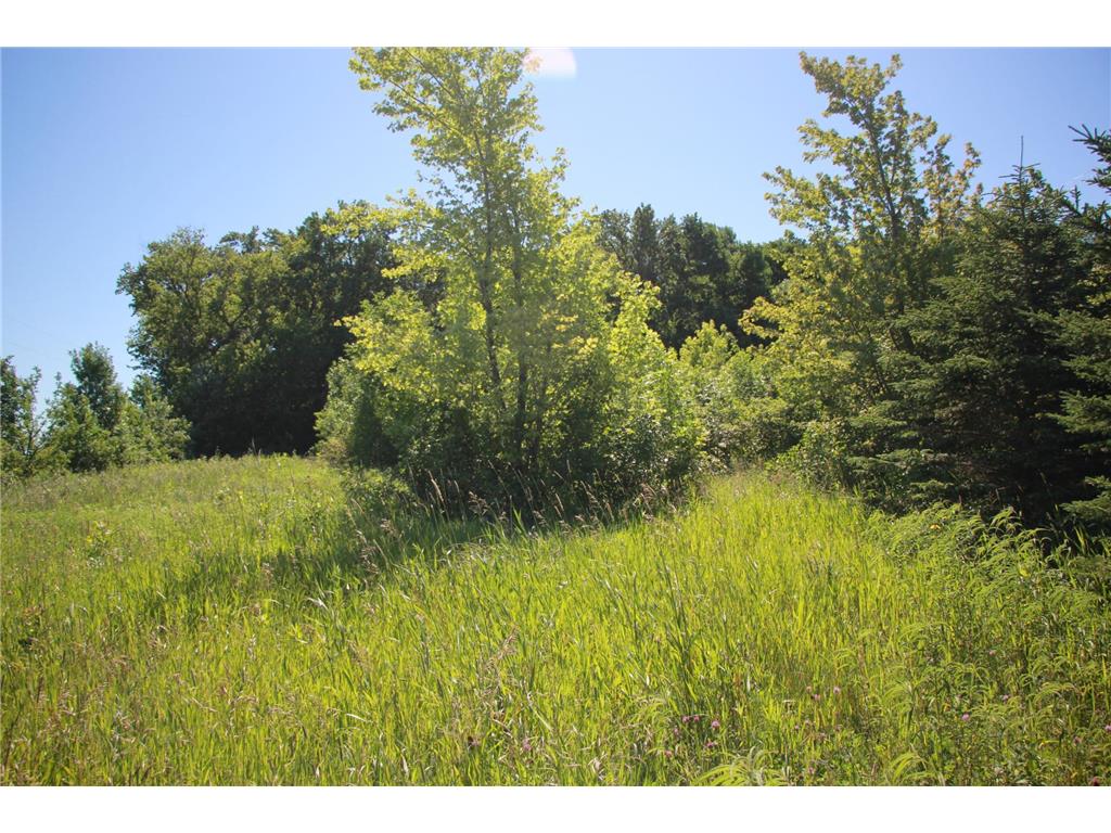TBD 60TH Street East Chain Twp MN 56013 7070570 image6