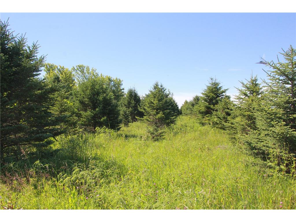 TBD 60TH Street East Chain Twp MN 56013 7070570 image8