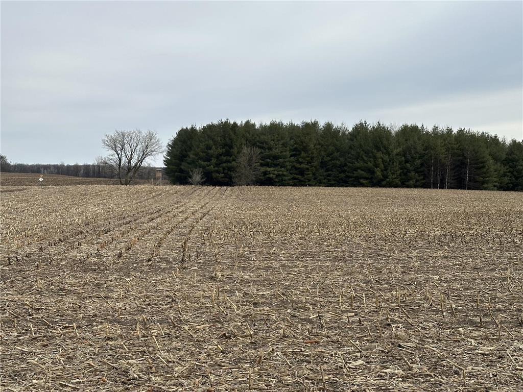 TBD 60th Ave Princeton MN 55371 6727199 image1