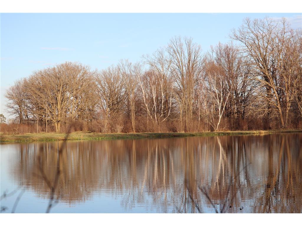 TBD 60th Street SW Maple Twp MN 56472 6748613 image2