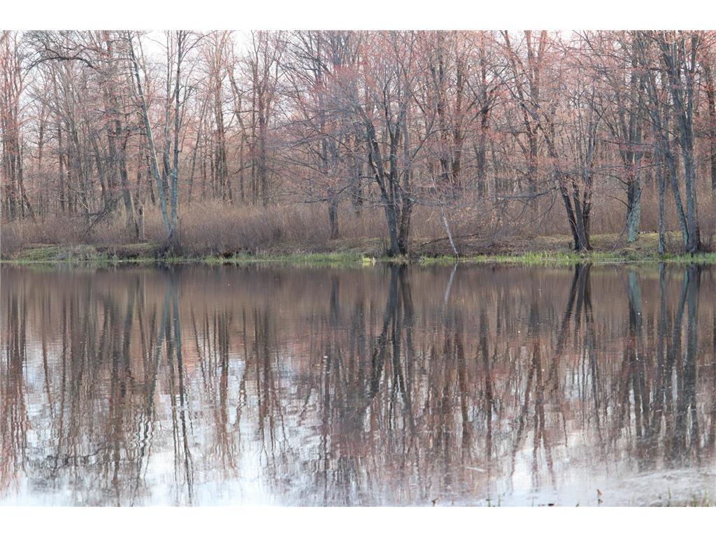 TBD 60th Street SW Maple Twp MN 56472 6748613 image4