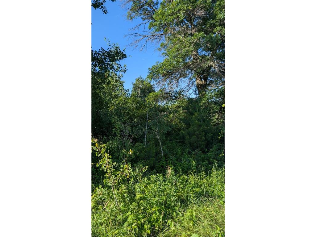 TBD 60th Street SW Maple Twp MN 56472 6748613 image5