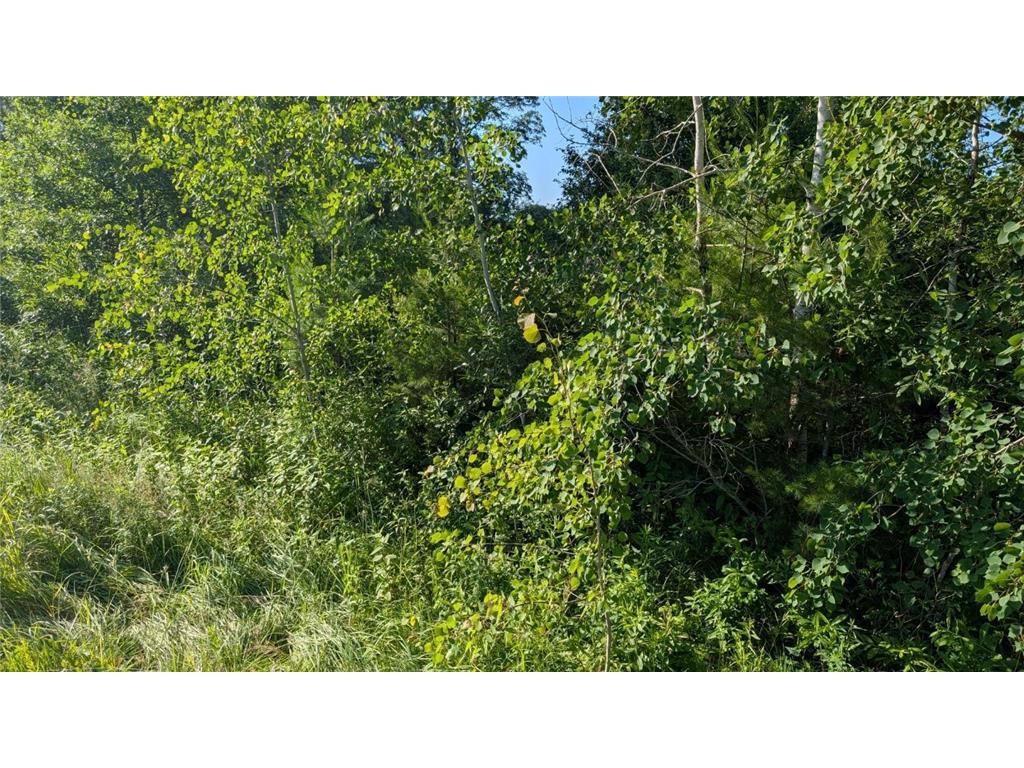 TBD 60th Street SW Maple Twp MN 56472 6748613 image6