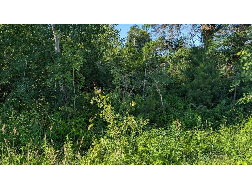 TBD 60th Street SW Maple Twp MN 56472 6748613 image7