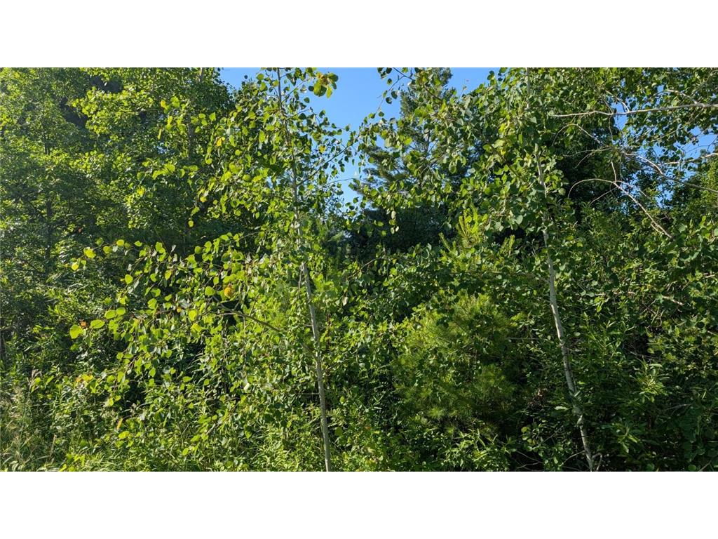 TBD 60th Street SW Maple Twp MN 56472 6748613 image8