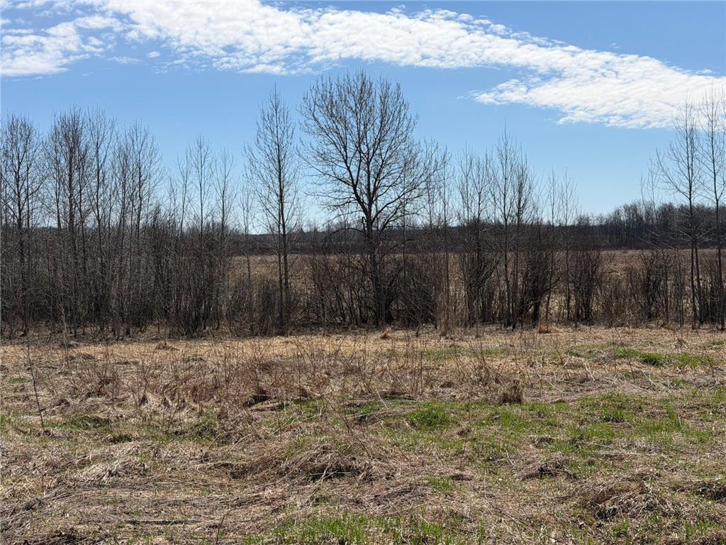 TBD 62nd Street SW Poplar Twp MN 56479 7062390 image10