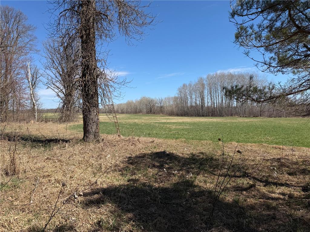 TBD 62nd Street SW Poplar Twp MN 56479 7062390 image13