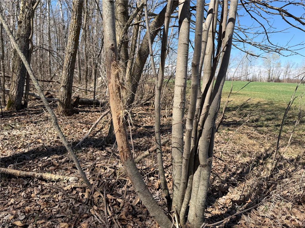TBD 62nd Street SW Poplar Twp MN 56479 7062390 image14