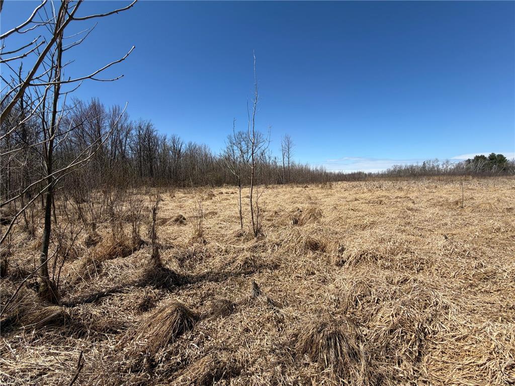 TBD 62nd Street SW Poplar Twp MN 56479 7062390 image15