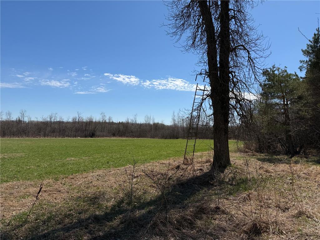 TBD 62nd Street SW Poplar Twp MN 56479 7062390 image19
