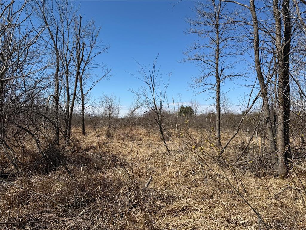 TBD 62nd Street SW Poplar Twp MN 56479 7062390 image24