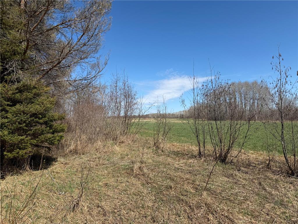 TBD 62nd Street SW Poplar Twp MN 56479 7062390 image25