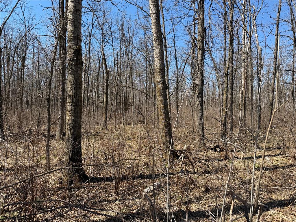 TBD 62nd Street SW Poplar Twp MN 56479 7062390 image30
