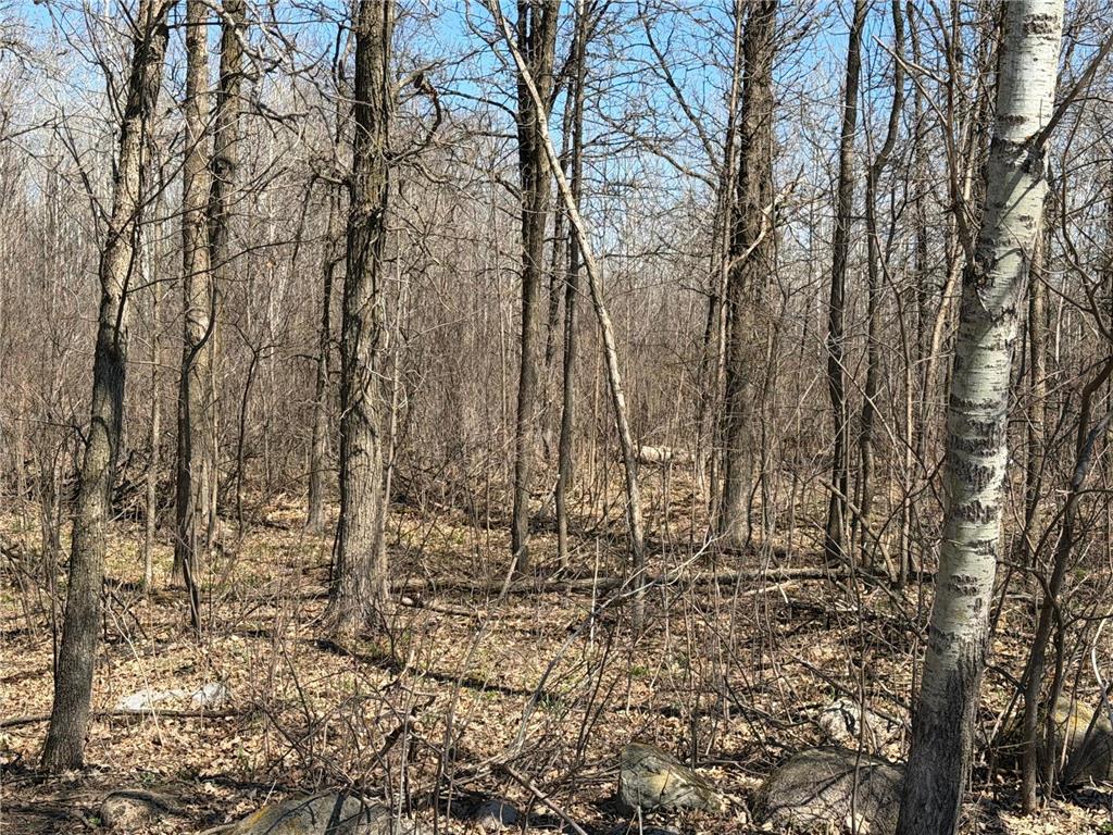 TBD 62nd Street SW Poplar Twp MN 56479 7062390 image31
