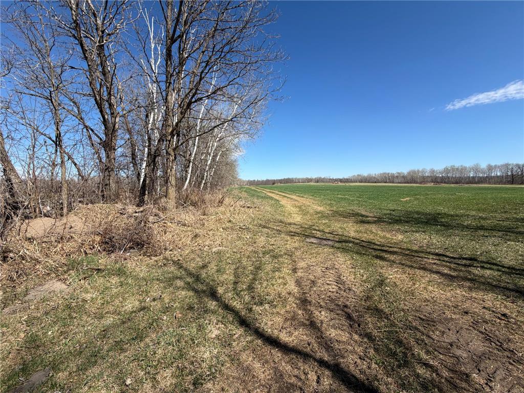 TBD 62nd Street SW Poplar Twp MN 56479 7062390 image37