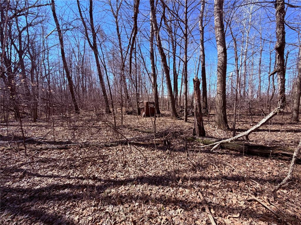 TBD 62nd Street SW Poplar Twp MN 56479 7062390 image39