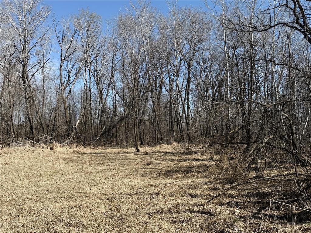 TBD 62nd Street SW Poplar Twp MN 56479 7062390 image40