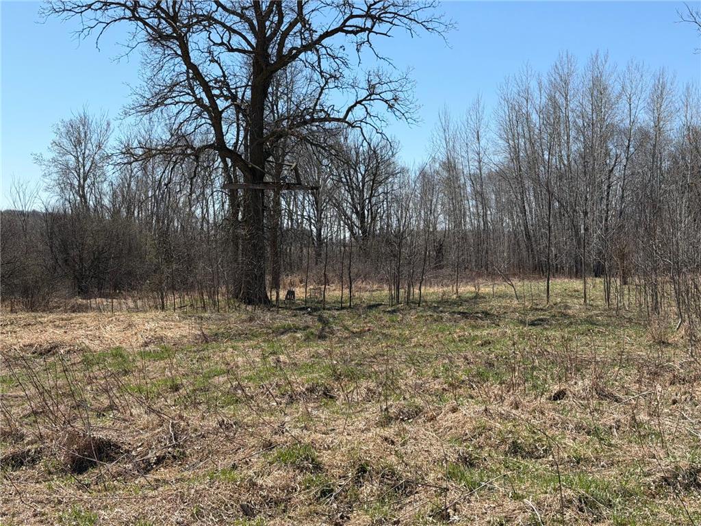 TBD 62nd Street SW Poplar Twp MN 56479 7062390 image42