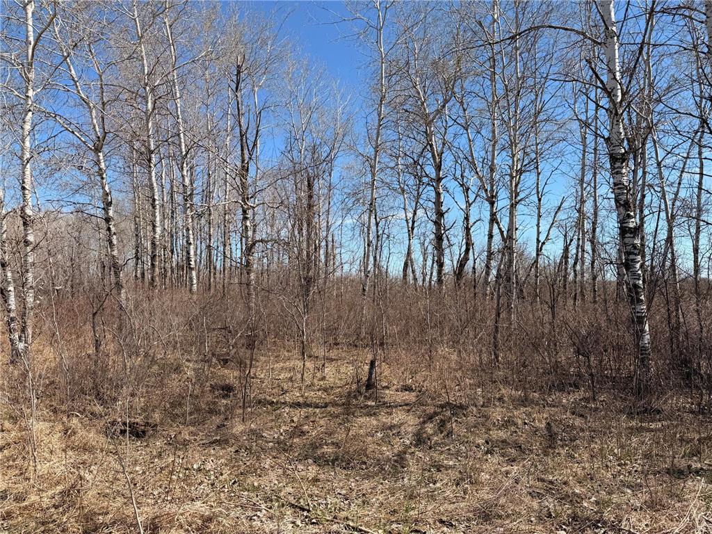 TBD 62nd Street SW Poplar Twp MN 56479 7062390 image44