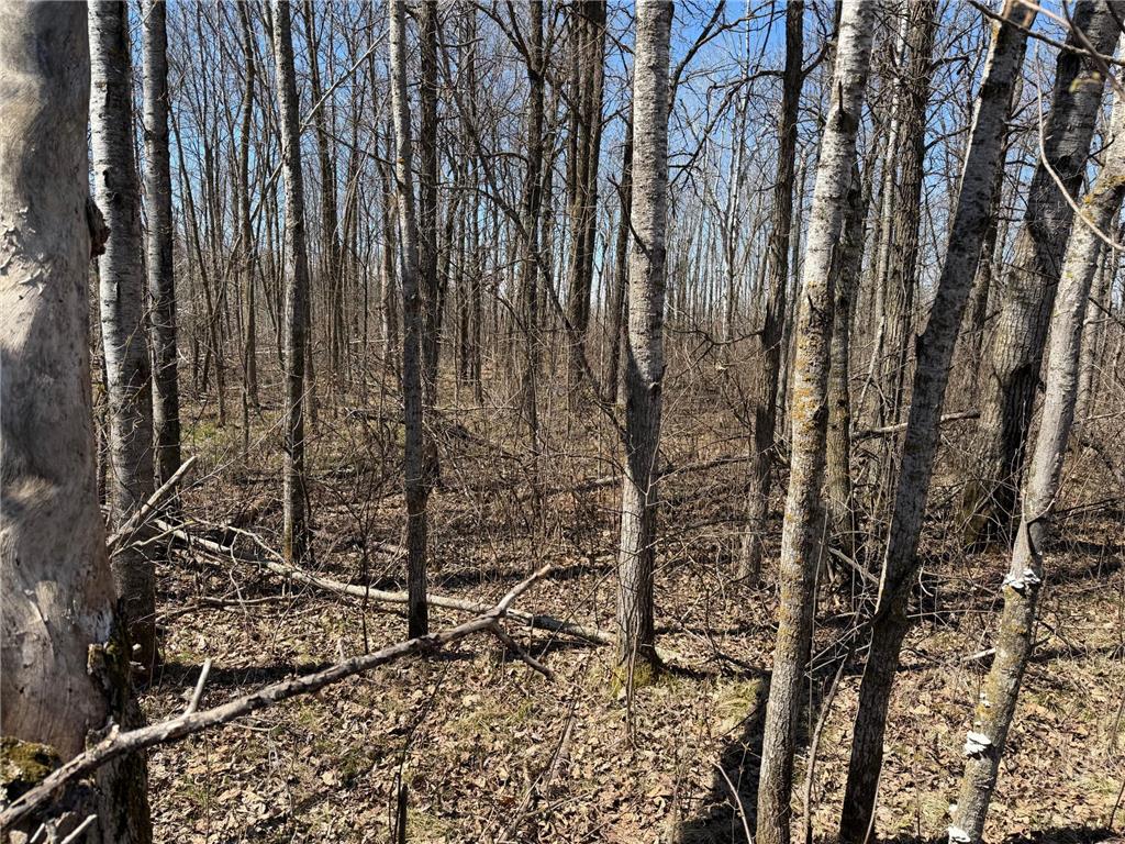 TBD 62nd Street SW Poplar Twp MN 56479 7062390 image53