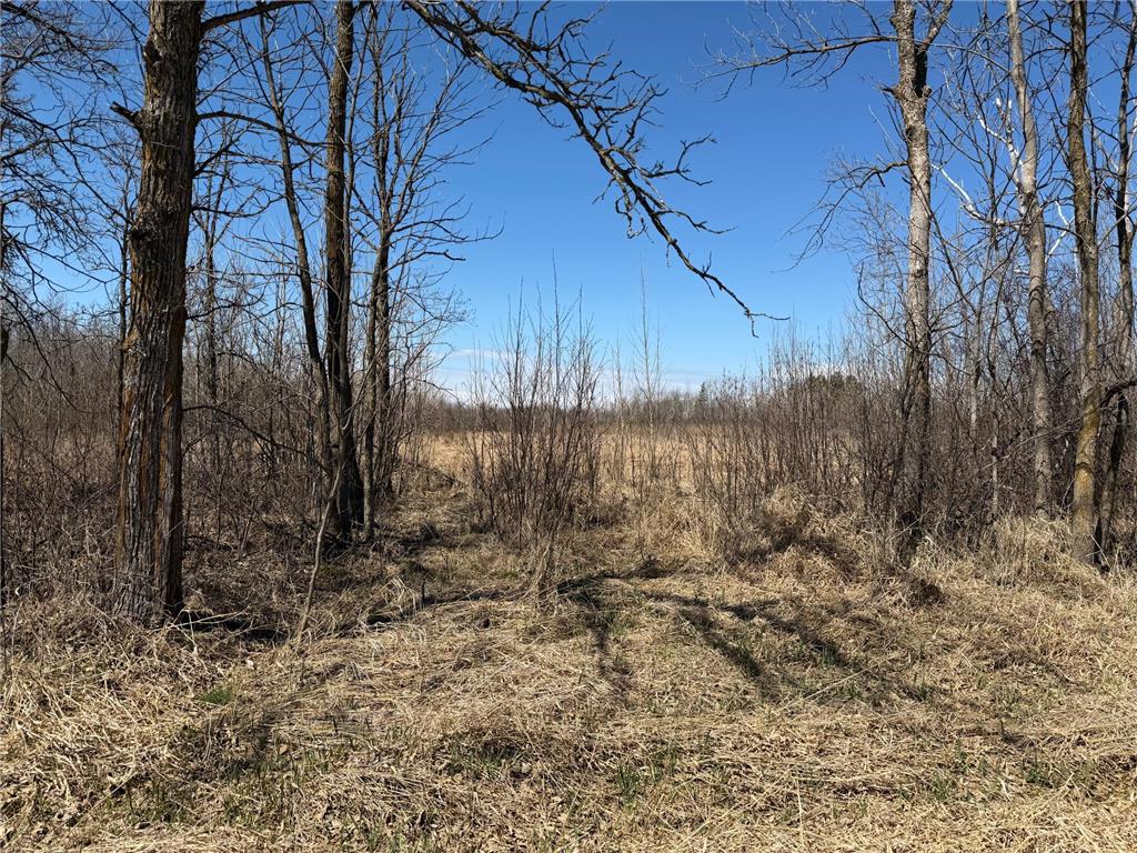TBD 62nd Street SW Poplar Twp MN 56479 7062390 image55