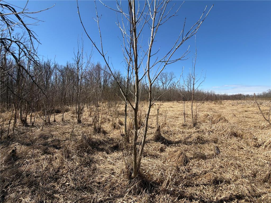 TBD 62nd Street SW Poplar Twp MN 56479 7062390 image56