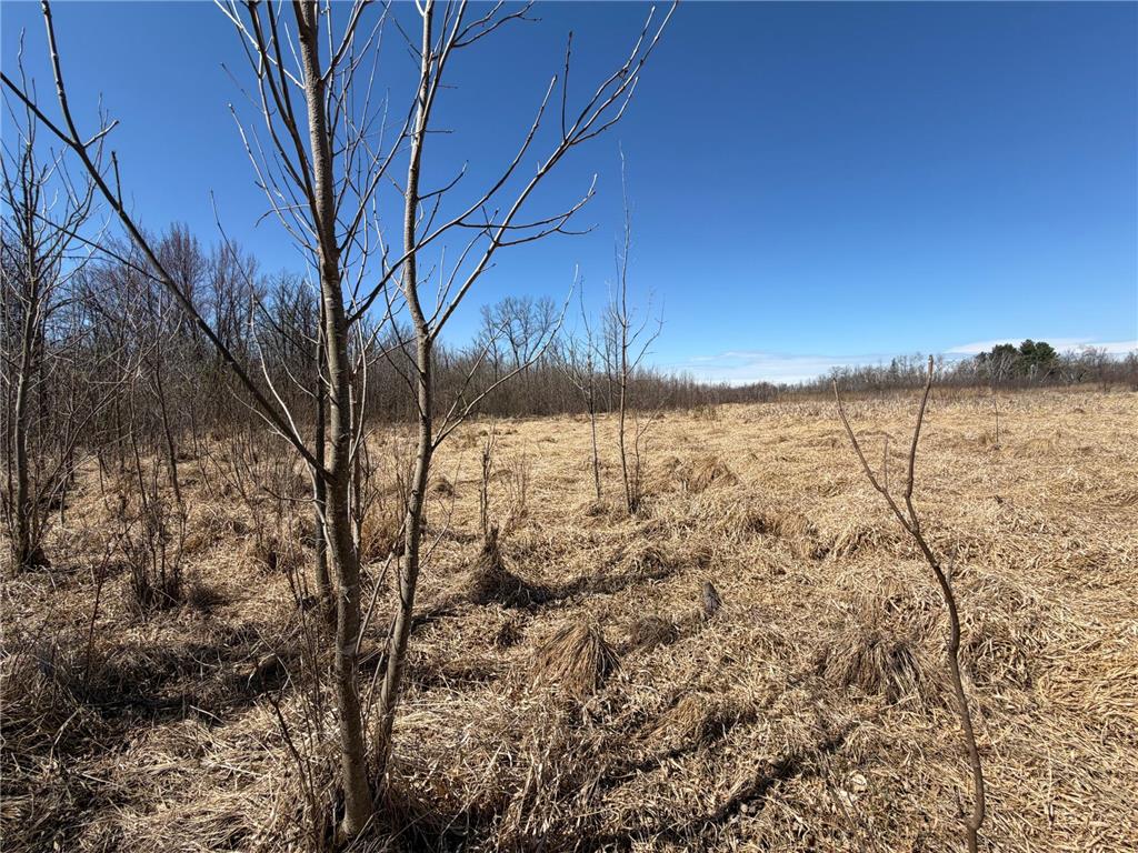 TBD 62nd Street SW Poplar Twp MN 56479 7062390 image57