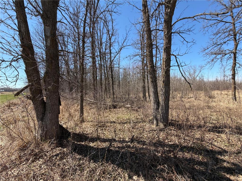 TBD 62nd Street SW Poplar Twp MN 56479 7062390 image58