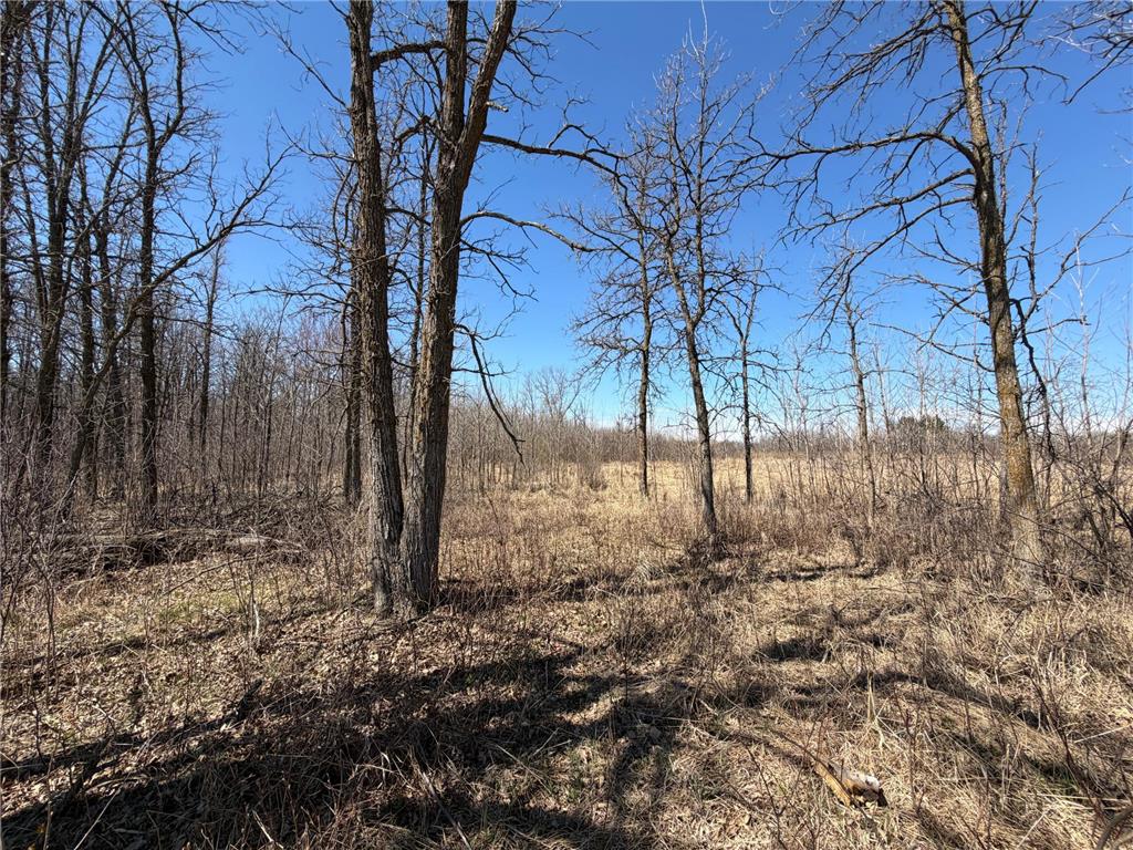 TBD 62nd Street SW Poplar Twp MN 56479 7062390 image59
