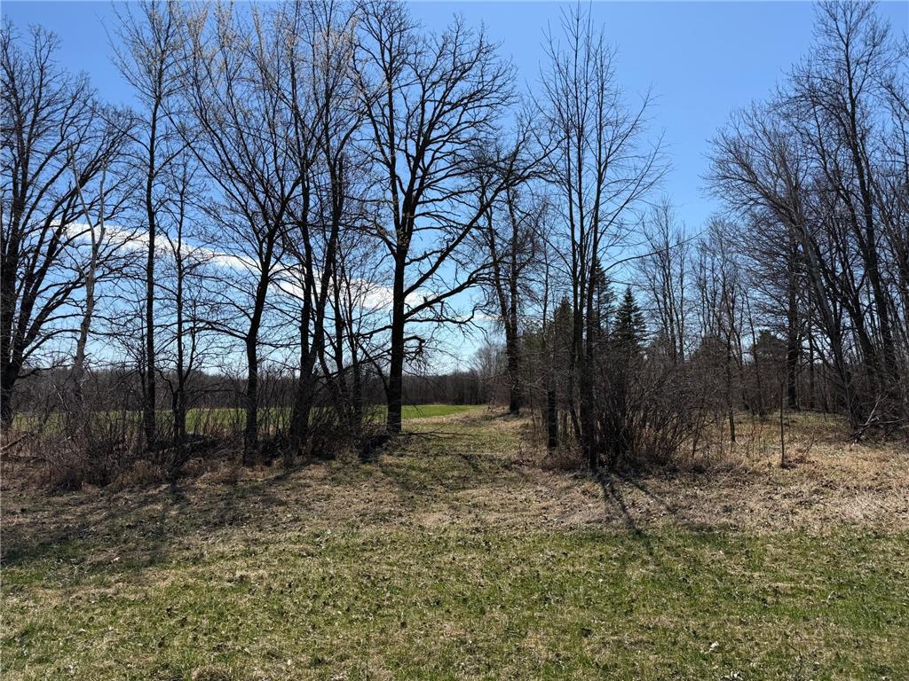 TBD 62nd Street SW Poplar Twp MN 56479 7062390 image6