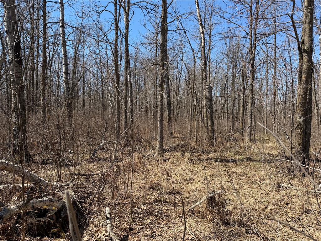 TBD 62nd Street SW Poplar Twp MN 56479 7062390 image60