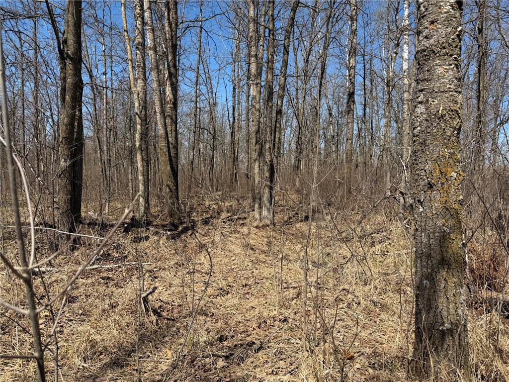 TBD 62nd Street SW Poplar Twp MN 56479 7062390 image61