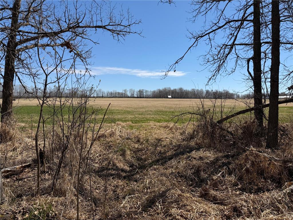 TBD 62nd Street SW Poplar Twp MN 56479 7062390 image62
