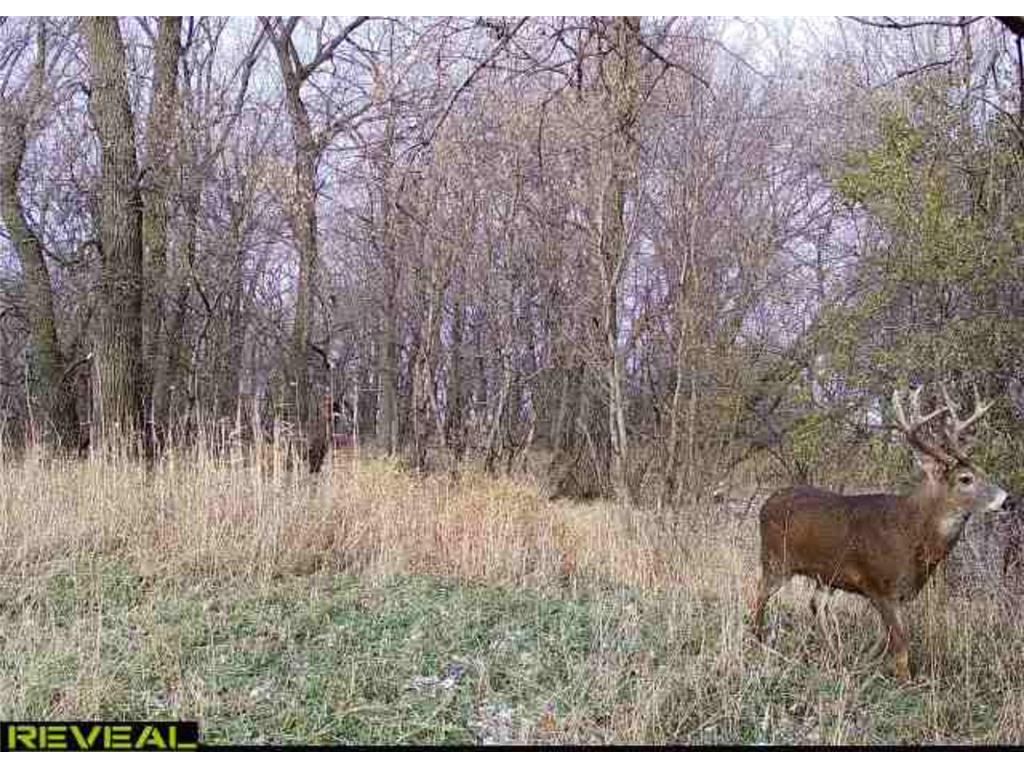 TBD 630th Street Claremont Twp MN 55924 6770868 image14