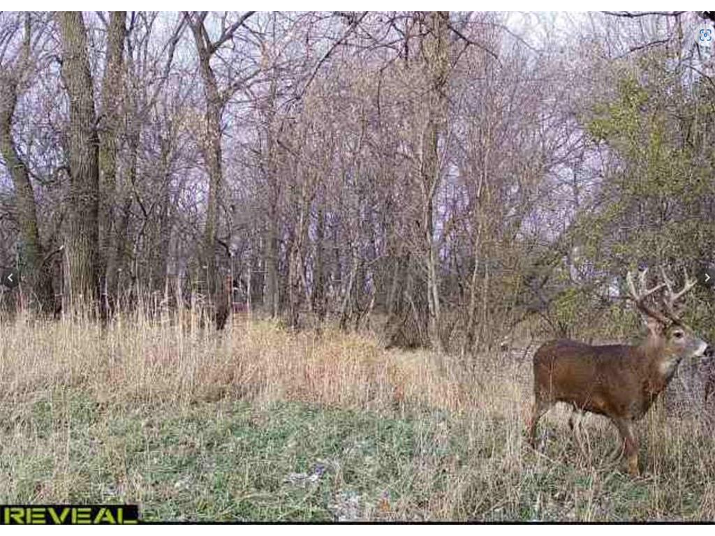 TBD 630th Street Claremont Twp MN 55924 6770868 image23