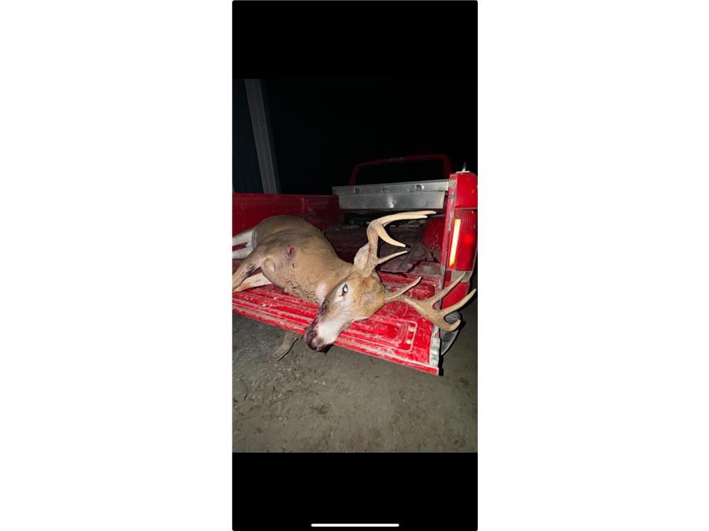 TBD 630th Street Claremont Twp MN 55924 6770868 image9