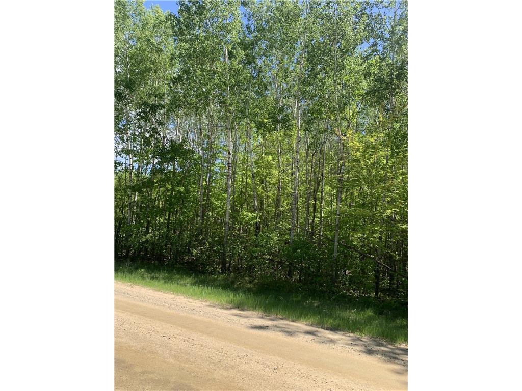 TBD 63rd Ave N Walker MN 56484 6726728 image2