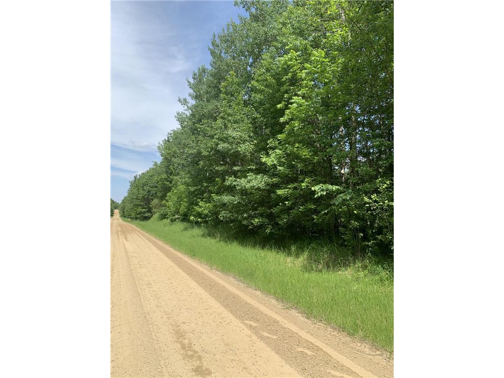 TBD 63rd Avenue NW Walker MN 56484 6741155 image3