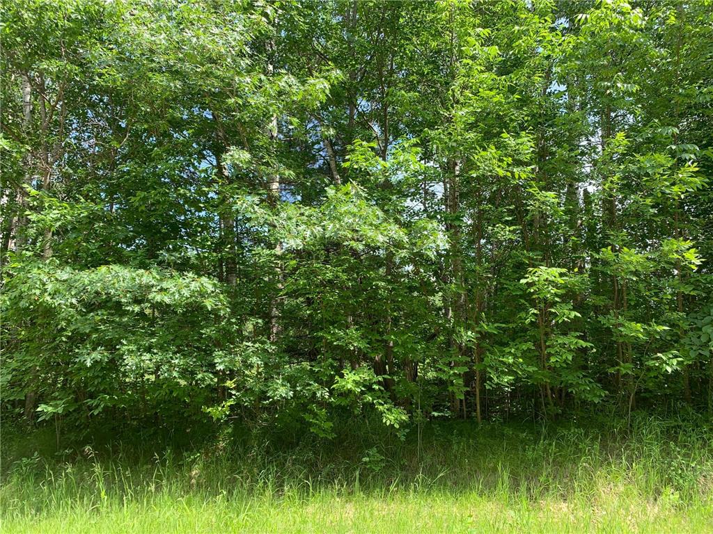 TBD 63rd Avenue NW Walker MN 56484 6741155 image4