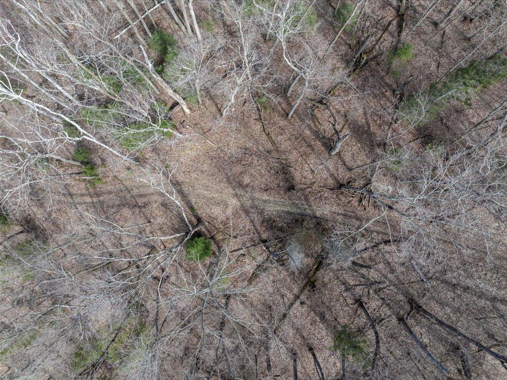 TBD 640th Lane Jacobson MN 55752 - Ball Bluff 6708780 image22