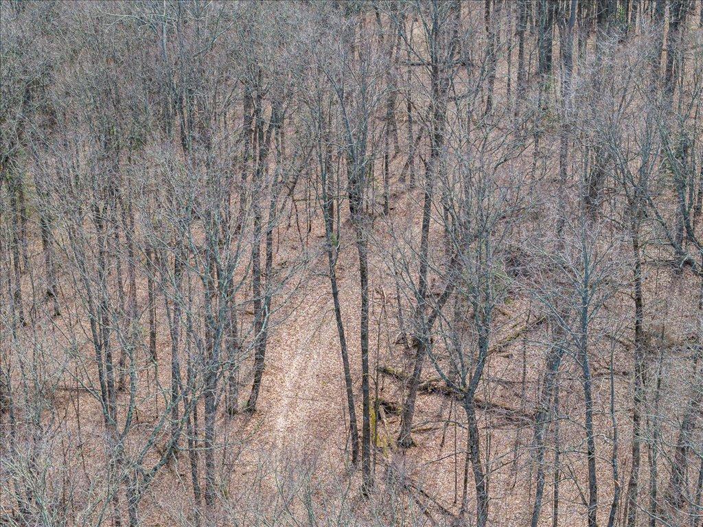 TBD 640th Lane Jacobson MN 55752 - Ball Bluff 6708780 image23