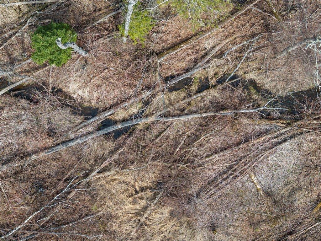 TBD 640th Lane Jacobson MN 55752 - Ball Bluff 6708780 image25