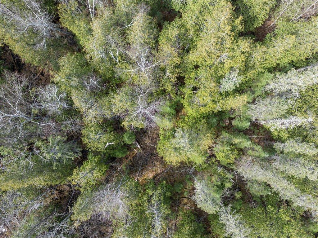 TBD 640th Lane Jacobson MN 55752 - Ball Bluff 6708780 image26