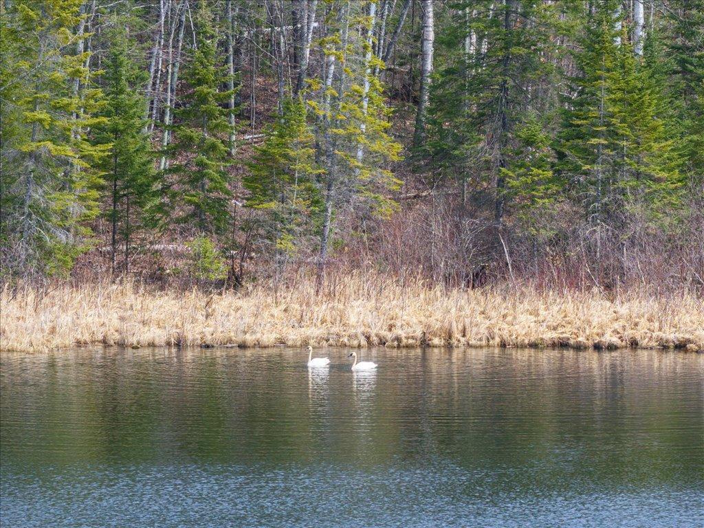 TBD 640th Lane Jacobson MN 55752 - Ball Bluff 6708780 image37