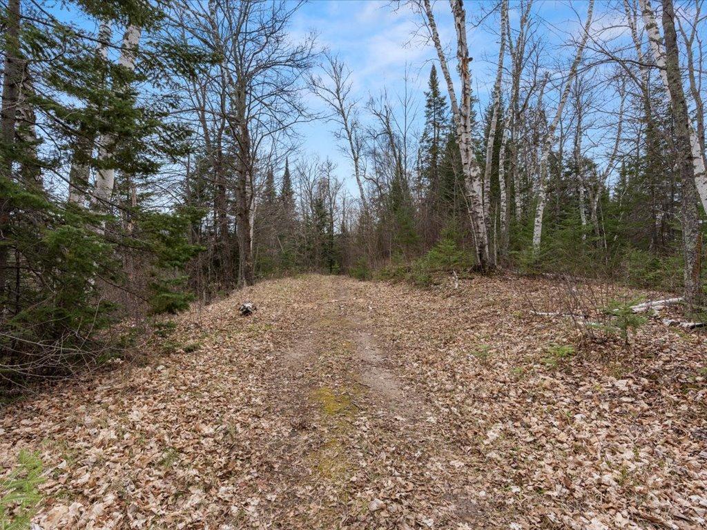 TBD 640th Lane Jacobson MN 55752 - Ball Bluff 6708780 image50