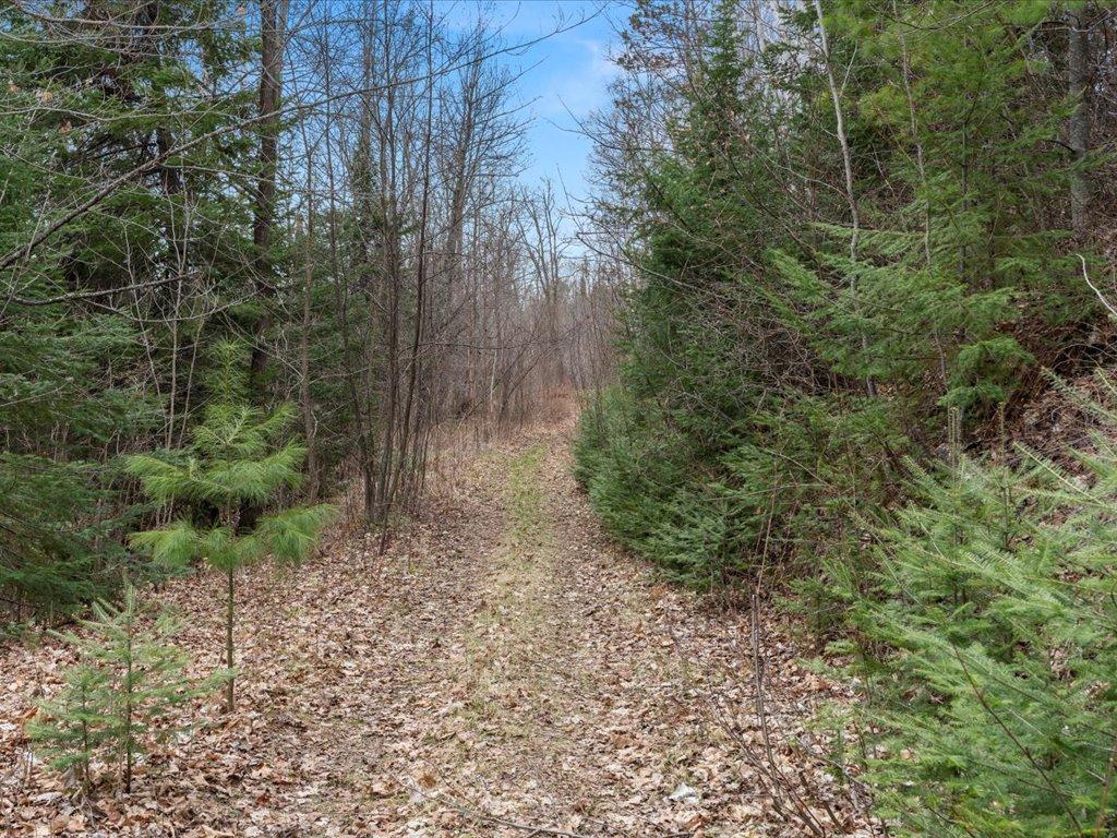 TBD 640th Lane Jacobson MN 55752 - Ball Bluff 6708780 image53