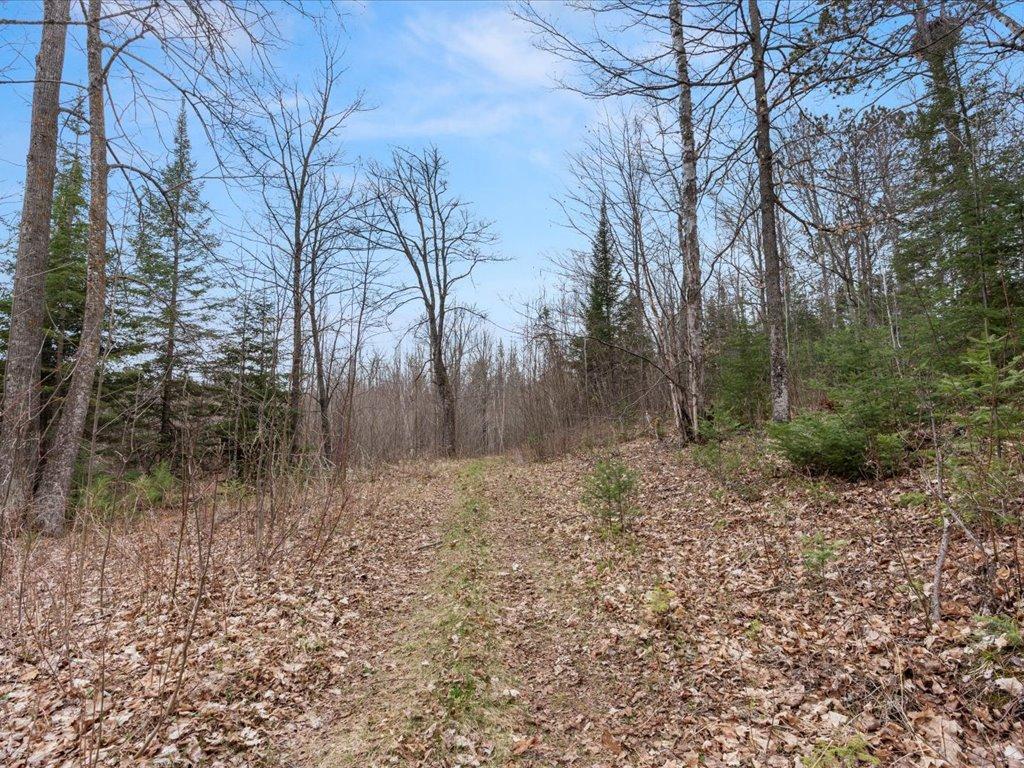 TBD 640th Lane Jacobson MN 55752 - Ball Bluff 6708780 image54