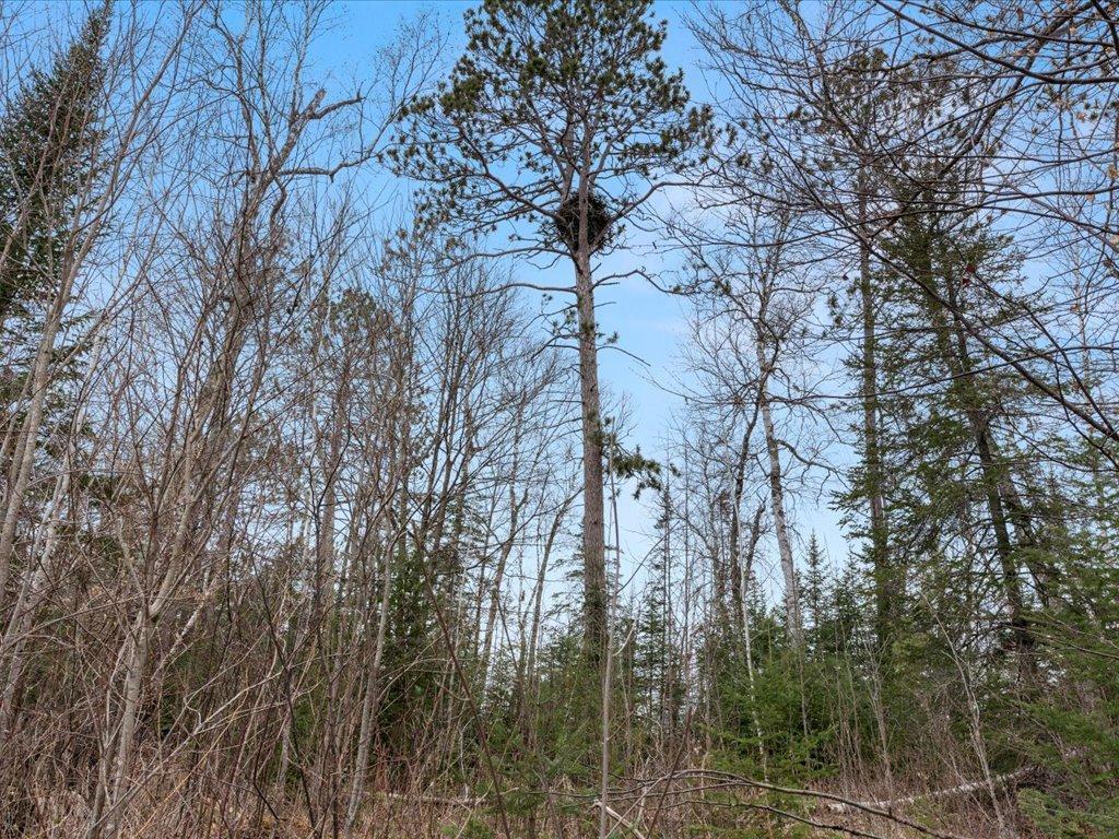 TBD 640th Lane Jacobson MN 55752 - Ball Bluff 6708780 image55